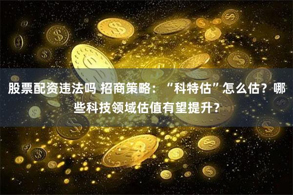 股票配资违法吗 招商策略：“科特估”怎么估？哪些科技领域估值有望提升？
