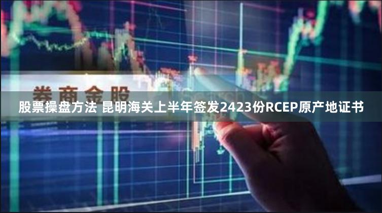 股票操盘方法 昆明海关上半年签发2423份RCEP原产地证书