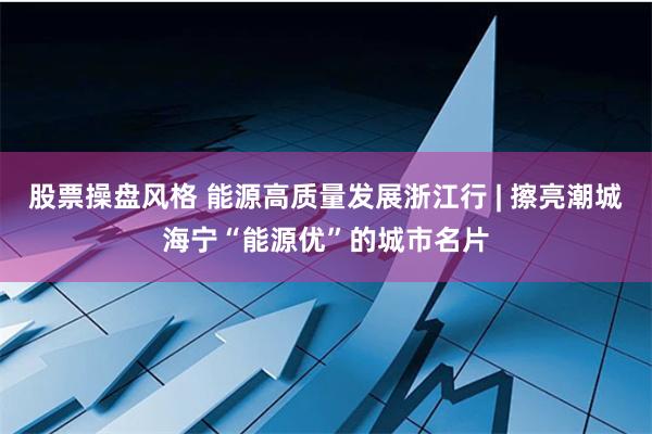 股票操盘风格 能源高质量发展浙江行 | 擦亮潮城海宁“能源优”的城市名片
