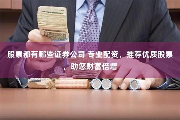 股票都有哪些证券公司 专业配资,推荐优质股票,助您财富倍增